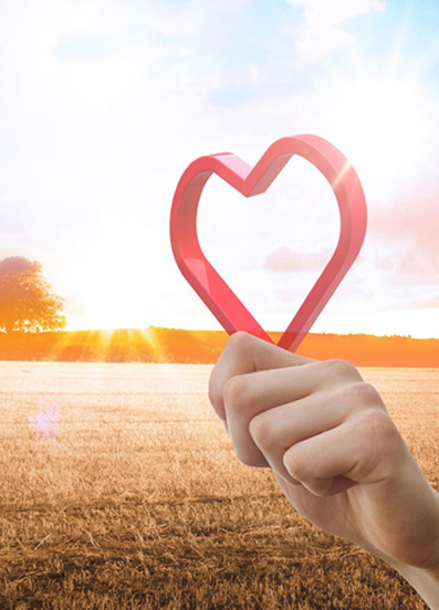 �������(�й���)�ٷ���ַ���