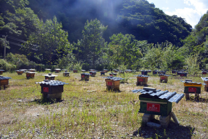 1599451653911999.png 2 (1).png