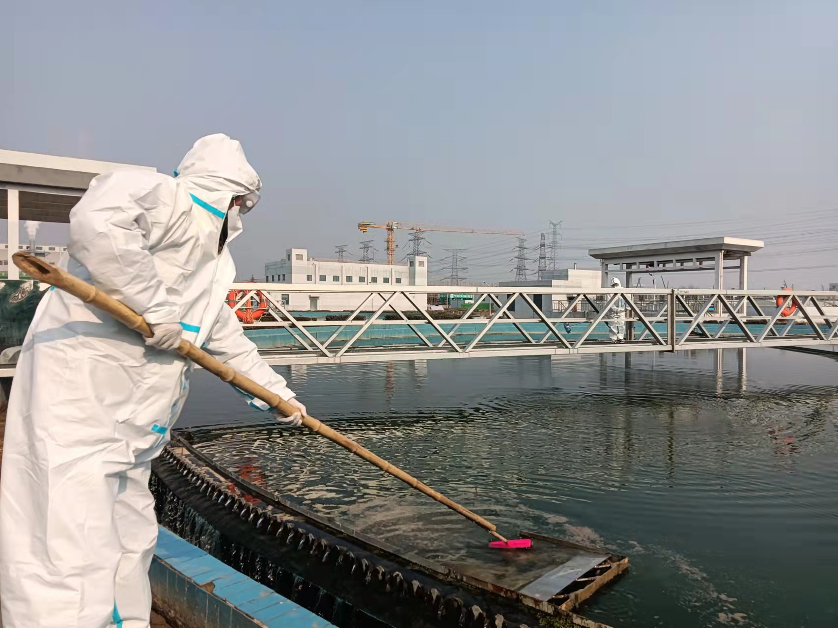 1642499144323559.jpeg b99dba35e09049837e6b8a6b7a48cd3e.jpg