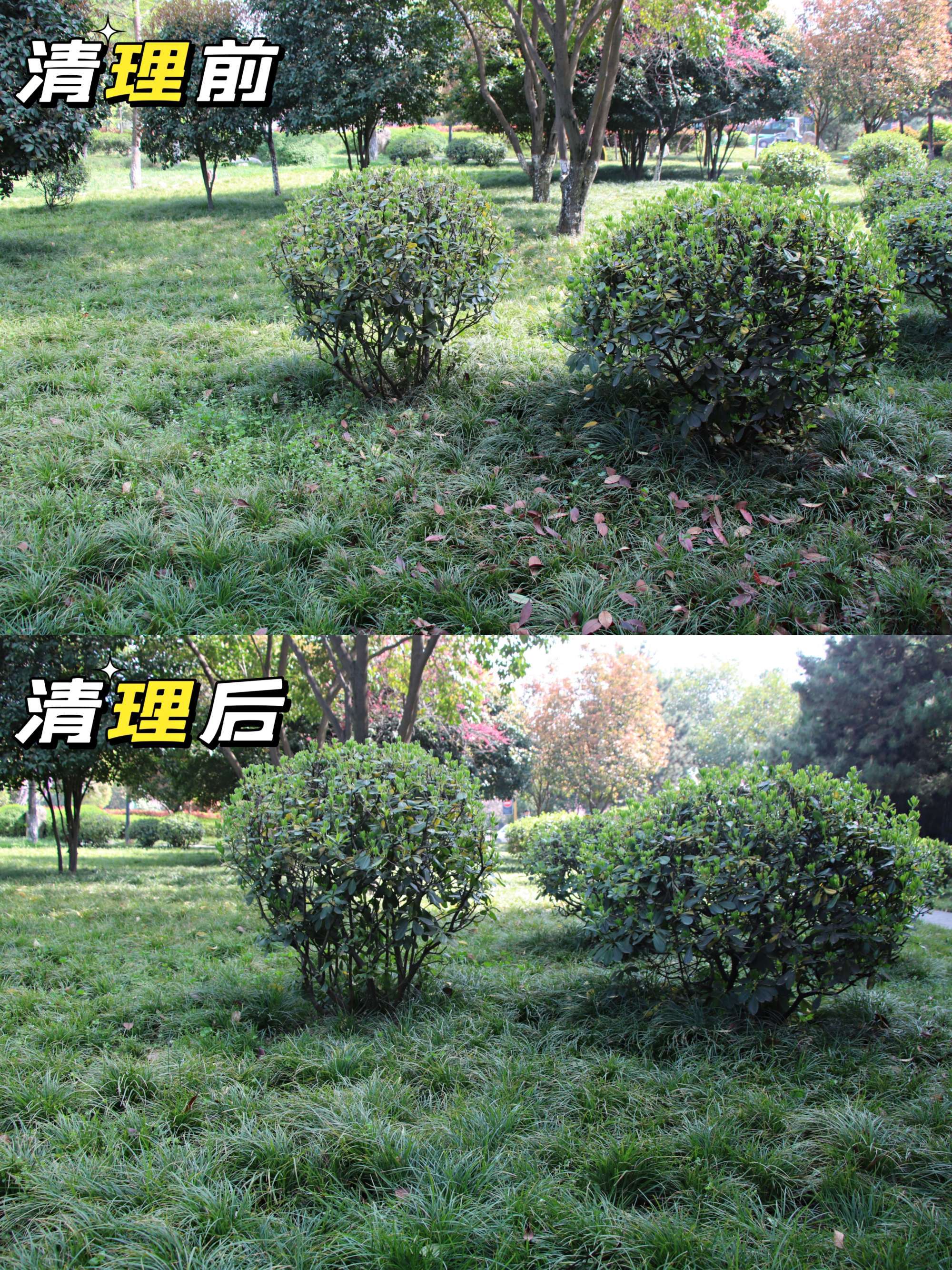 1648884318862385.jpeg 5.jpg