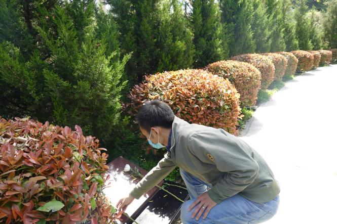 1650271300893129.png 6.png