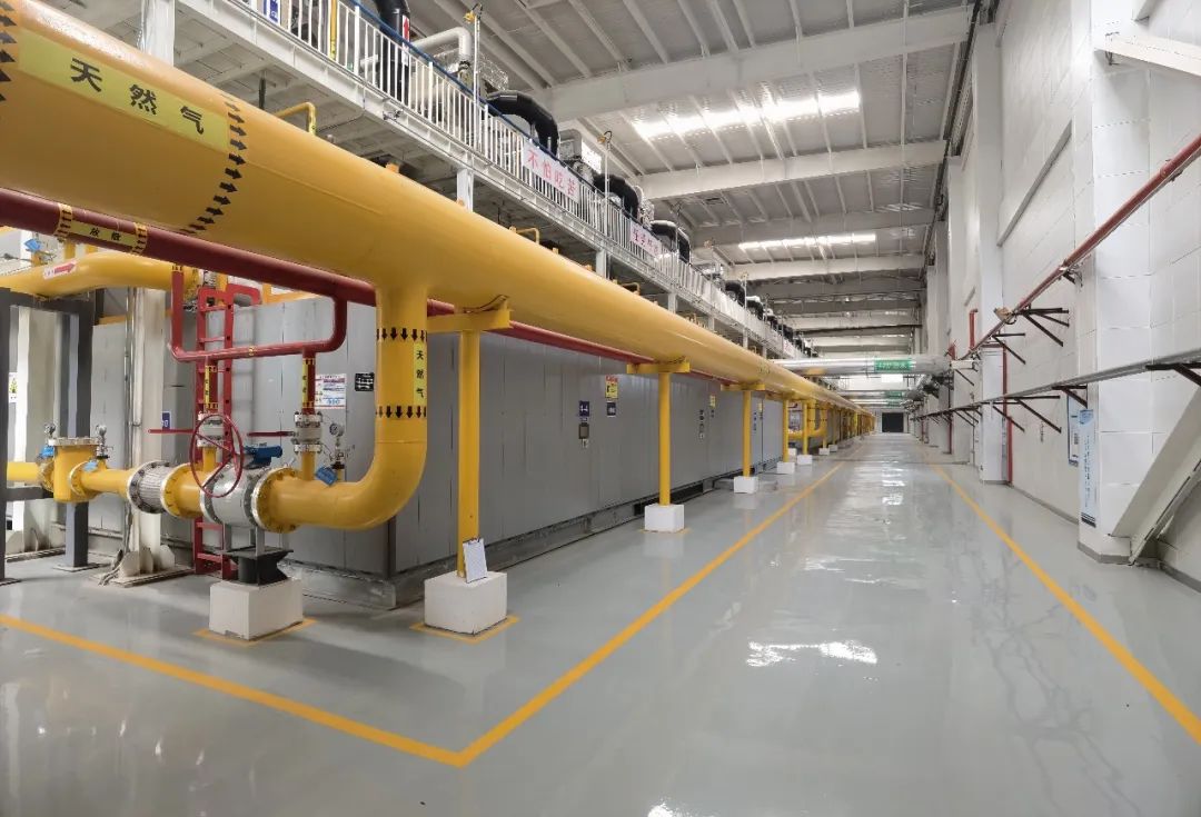 1650769335377167.jpeg 9.jpg