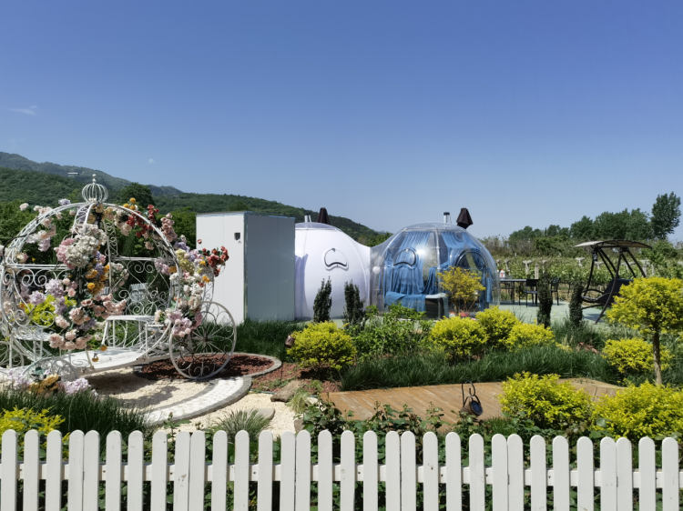 1657245757721199.png 4.png