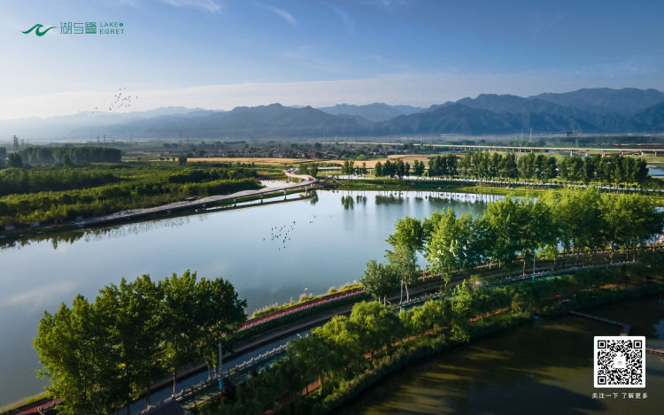 1678352682988056.jpeg 2.jpg