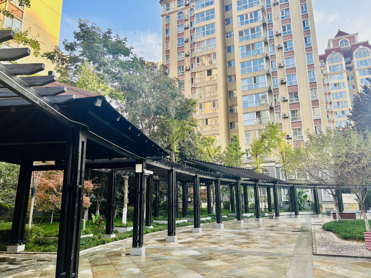 1703661148256045.jpeg aa16102204084ea2b9935fc9464794a0.jpeg