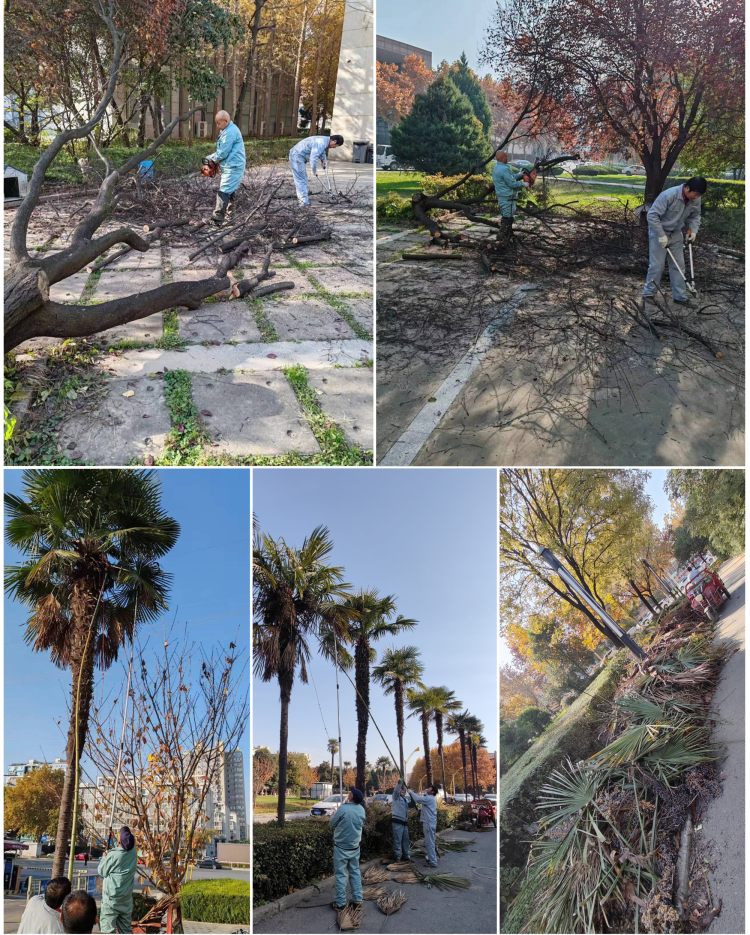 1703661197144199.png 77404b61ebe14fca8f37be6012e6f595.png