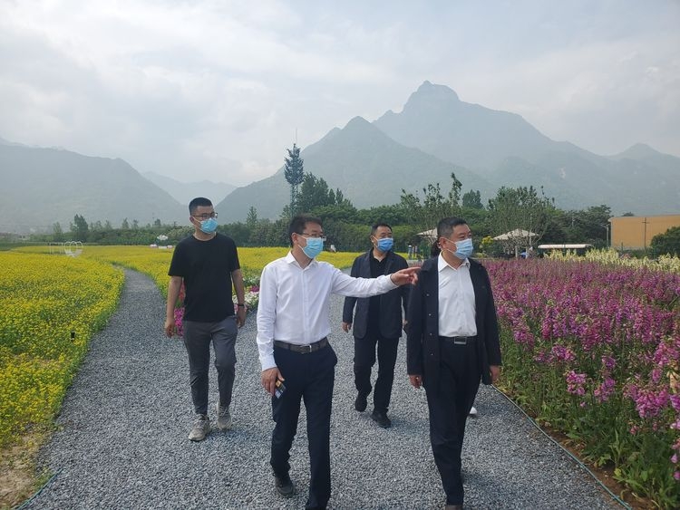 �������(�й���)�ٷ���ַ���